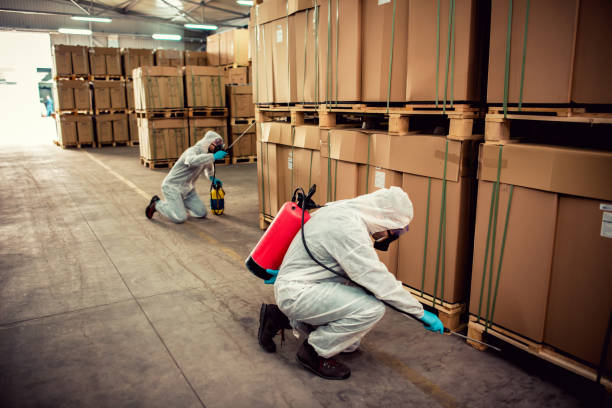 Best Best Pest Control Companies  in Bluffton, IN
