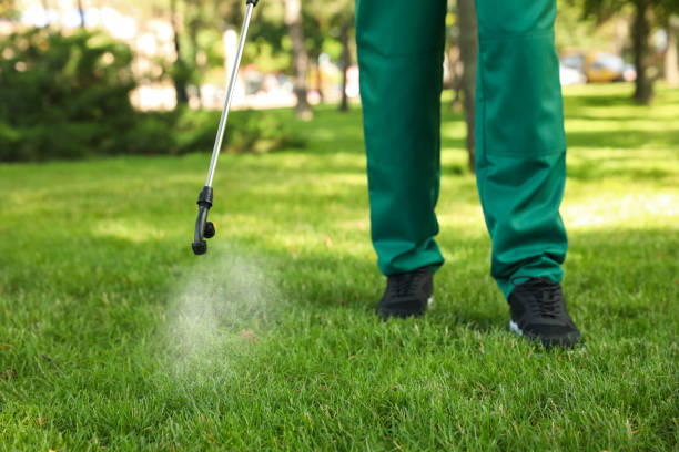 Best Affordable Pest Control Services  in Bluffton, IN