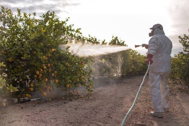 Best Mosquito Control Services  in Bluffton, IN