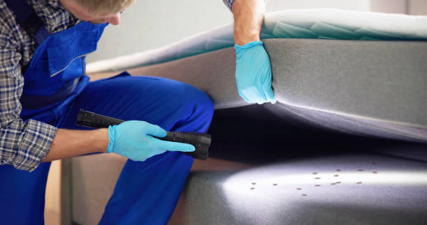 Best Pest Control Near Me  in Bluffton, IN