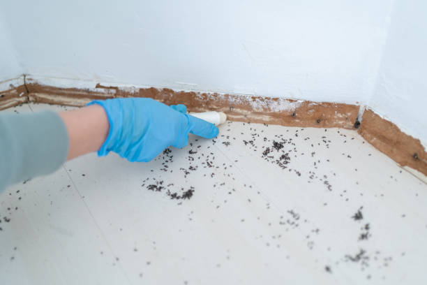 Best Pest Inspection Near Me  in Bluffton, IN