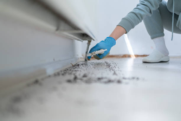 Trusted Bluffton, IN Pest Control Experts