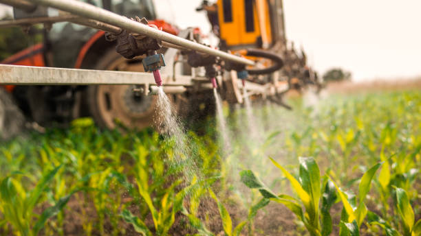 Pest Prevention Services in Bluffton, IN